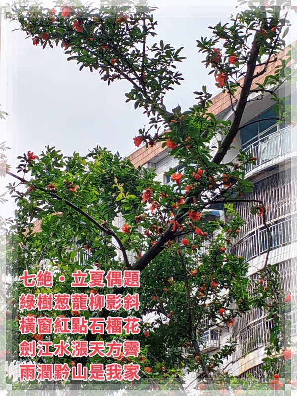 微信图片_20250506124043.jpg