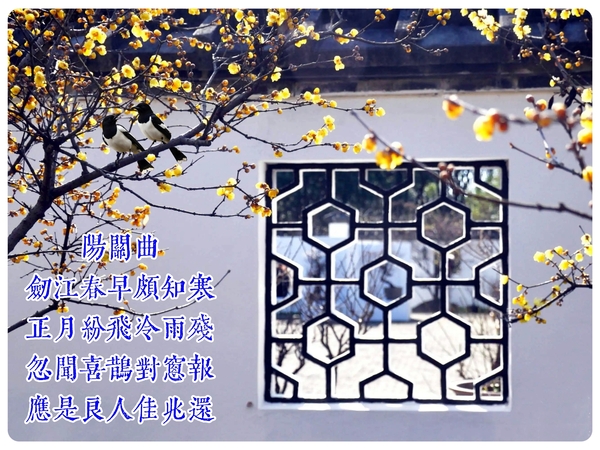 阳关曲.jpg