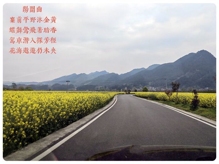 阳关曲1.jpg