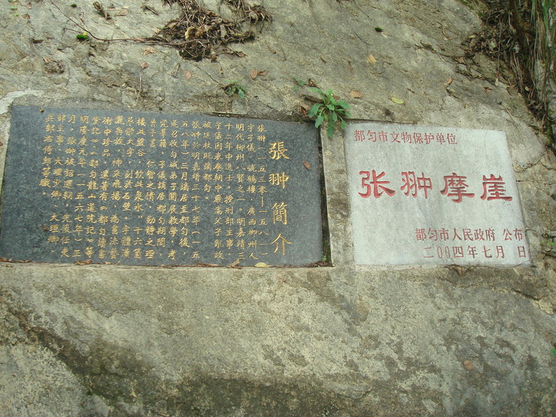 806.jpg