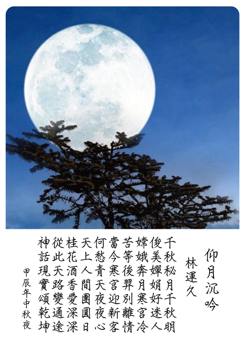 月挂枝头_副本.jpg